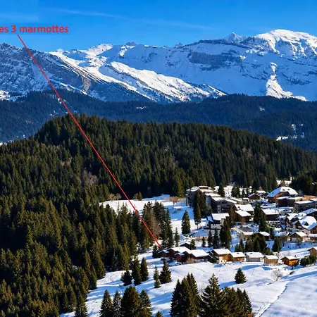 Les 3 Marmottes - Apartman *